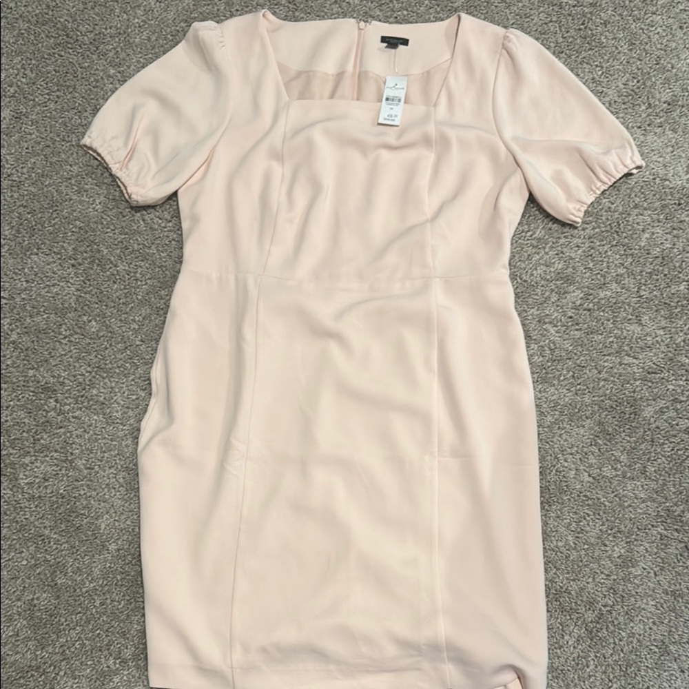 Ann Taylor Factory Pink Puff Sleeve Sheath Dress